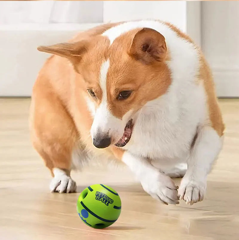 Giggle dog ball