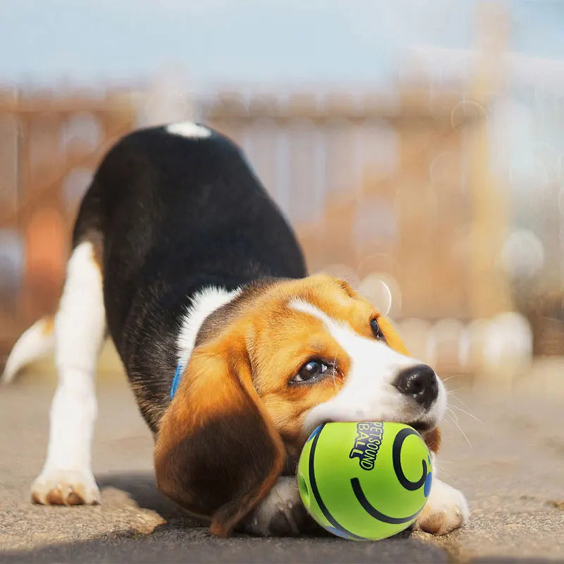 Giggle dog ball