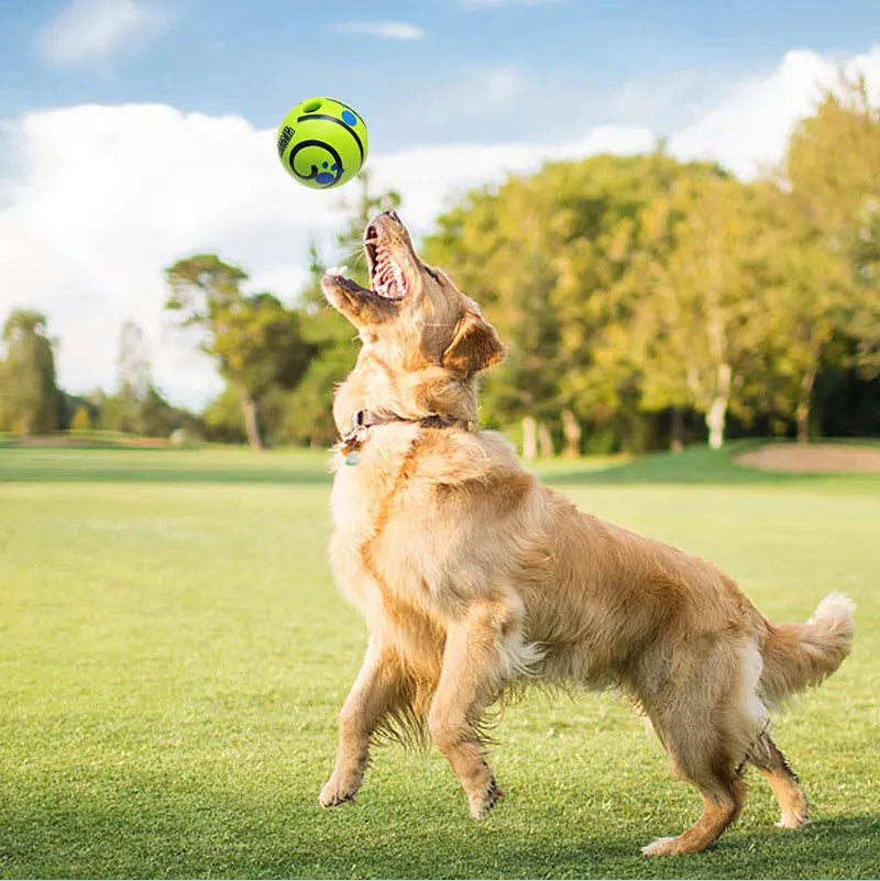 Giggle dog ball