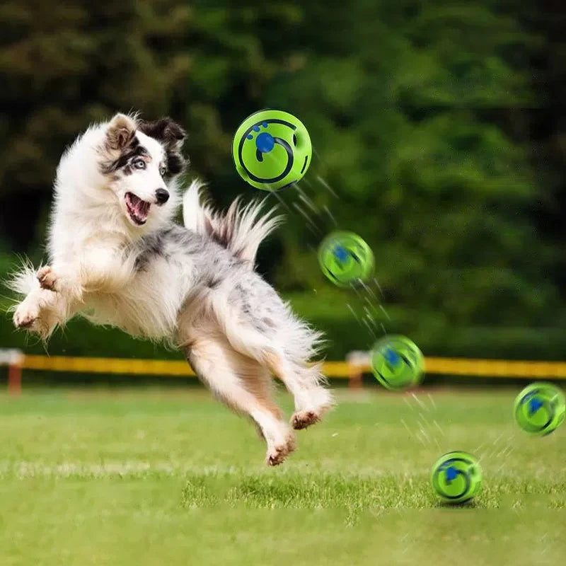 Giggle dog ball