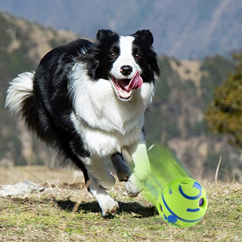 Giggle dog ball